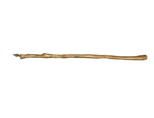 One brown twig isolated on white background. Watercolor hand drawn illustration. Branch of tree without leaves perfect for print, card, element of design.