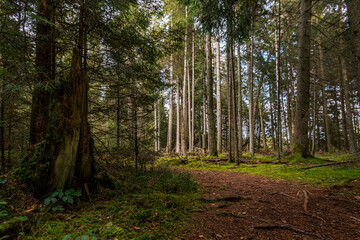 Fantastic hike in the Schrecksee nature reserve in Upper Swabia