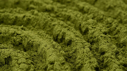 Obraz premium superfoods moringa or spirulina powder