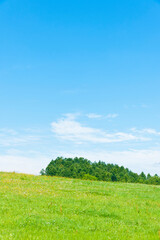 草原と青空