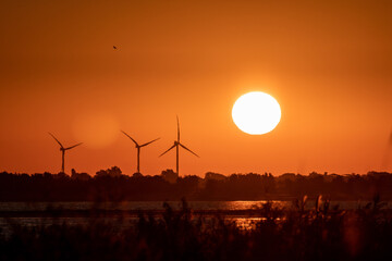 Energy wind power turbines, big sun on orange sky
