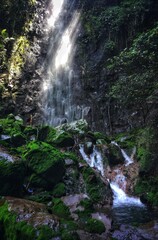 Flowing Waters in Waterfall