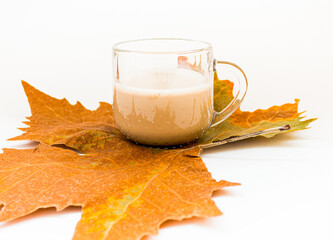 cup of coffee on an autumn leaf. Autumn mood