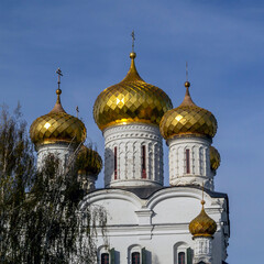 Golden domes of the main temple