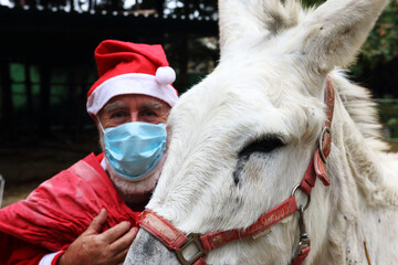 Donkey and Santa Claus
