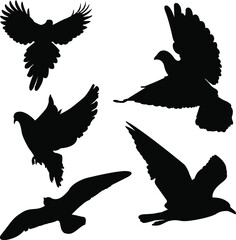 set of silhouettes of birds