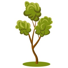 Flat cartoon vector forest tree with variety of green shades leaves. Flat Vector Illustration for nature props