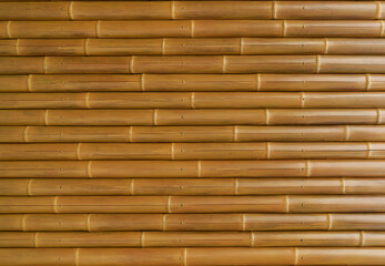 bamboo plank fence texture, old brown tone for background