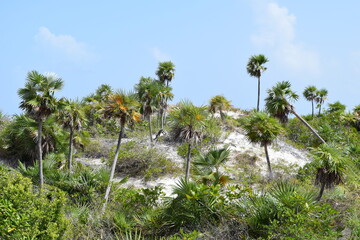 Fototapeta premium Exotic tropical beach white sand beautiful sea relax time in Cuba, Caribbean