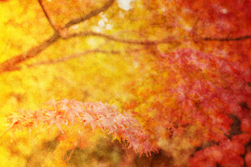 抽象画
紅葉