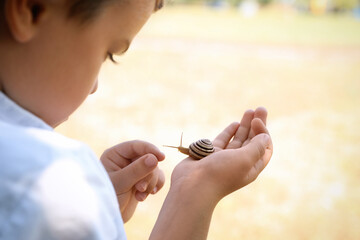 Boy playing with cute snail outdoors, closeup. Child spending time in nature