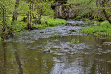 Countryside landscape view of old river flowing through small forest.