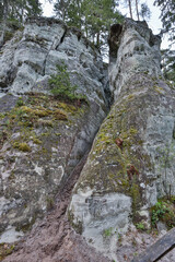 Fototapeta na wymiar Details of old rock clifts near tourist track.