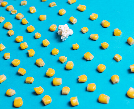 
A popcorn in the middle of many corn kernels arranged neatly on a blue background
