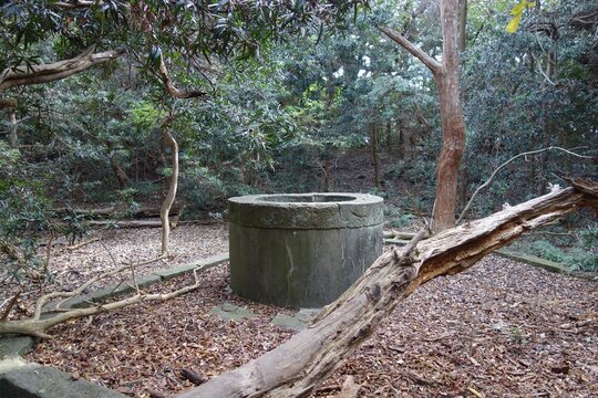 山中の頑丈な井戸