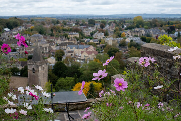 View of the historic town of Bradford on Avon in the Cotswolds, Wiltshire, UK, taken  from St Mary Tory Chapel, the high point of the town. Anemone flowers in foreground. © Lois GoBe