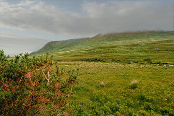 Obraz premium Lanscape view in Connemara, Ireland. Green fields and mountains in clouds, Nobody.