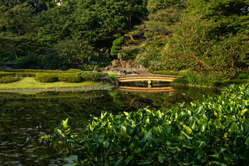 Green and lovely japanese garden with pond and bridge. Near Imperial Palace
