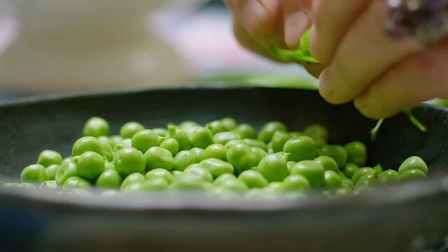 Closeup of hands shelling garden peas into a bowl. Shallow focus