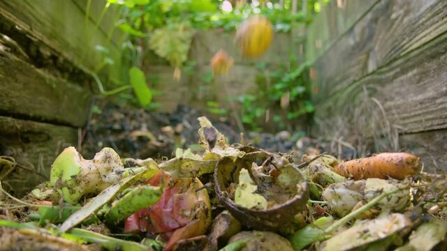 Scraps added to a colourful compost heap as wasps fly. Slow motion