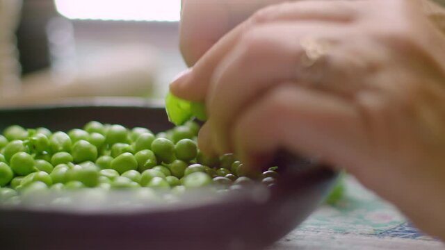 Garden peas being shelled. Beautiful short focus closeup panning shot
