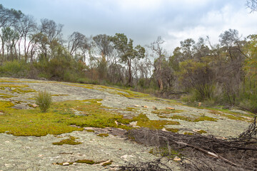Granite Rock Outcrop east of Pingelly, Western Australia
