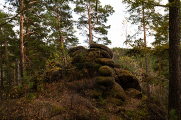 A rock of brown stone in the forest.