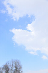 Fototapeta premium 木々と,青空の雲