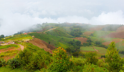 Obraz premium Mountain road at phu tubberk