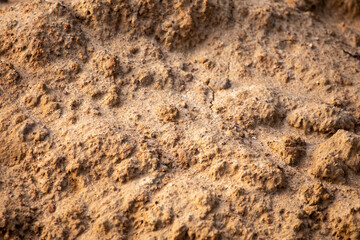 wet brown clay, earth, textured surface, natural background, horizontal