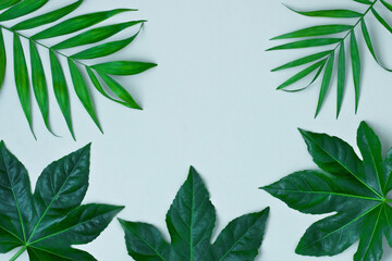 Fototapeta na wymiar Exotic background with palm leaves, top view