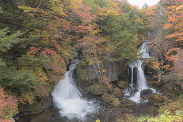Fototapeta na wymiar 竜頭の滝, 滝, 日光, 栃木県, 日本