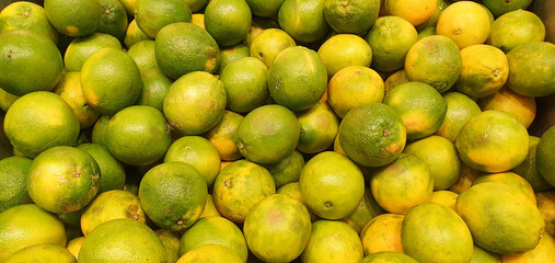 Green oranges for sale at the market. backgound