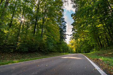 Empty road in the autumn forest with leaves in Upper Swabia
