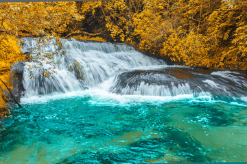 Seasons of leaves change color near the beautiful waterfall.