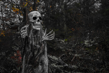 Skull and Skeleton Hands Coming Out of Creepy Tree