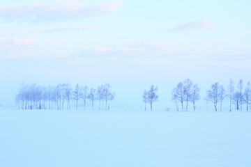 朝の雪原