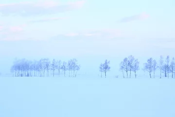 Fototapeten 朝の雪原 © Paylessimages