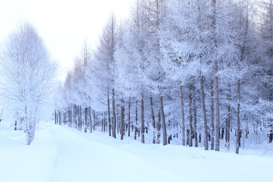 雪景色 Images – Browse 121,572 Stock Photos, Vectors, and