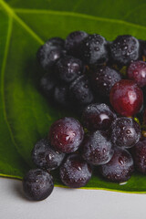 grapes on a green leaf