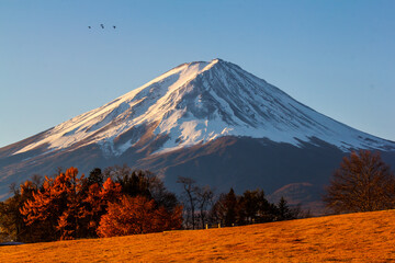 Mt. Fuji Volcano in Japan's winter season