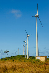 wind turbine in the field - Barra de Camaratuba - Para&iacute;ba