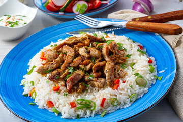 gyros with rice and green salad and zaziki