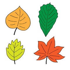 Set of autumn elements, hand drawn doodle style illustrations. Four different colorful leaves. Color objects isolated on white board. Vector illustration. Good for print, cards, design, decor, web