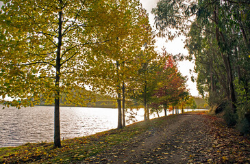 Paisaje otoño lago