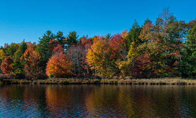 autumn in the mountains