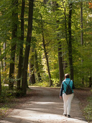 Wandern im Würmtal bei Gauting (Obb.)