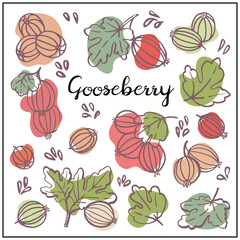 Set with Gooseberries, berries, leaves. Graphic hand drawn flat style. Doodle illustration for packaging, menu cards, posters, prints. Isolated over white background.
