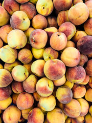 lots of ripe sweet peaches for eating as a background