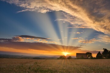 Stoppelfeld im Sonnenuntergang